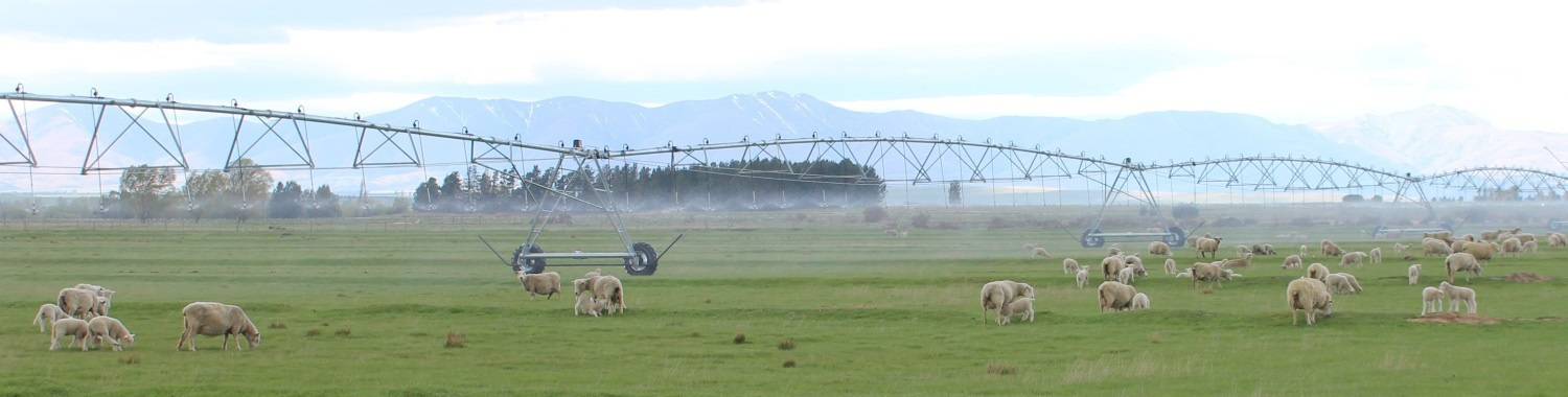 Farm Design and Planning under a Pivot Irrigation