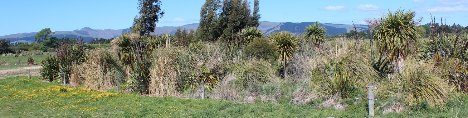 Riparian Planting  of wetlands on farm