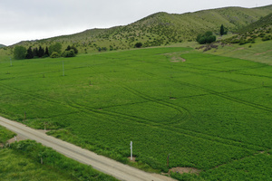 Lucerne under new fixed grid